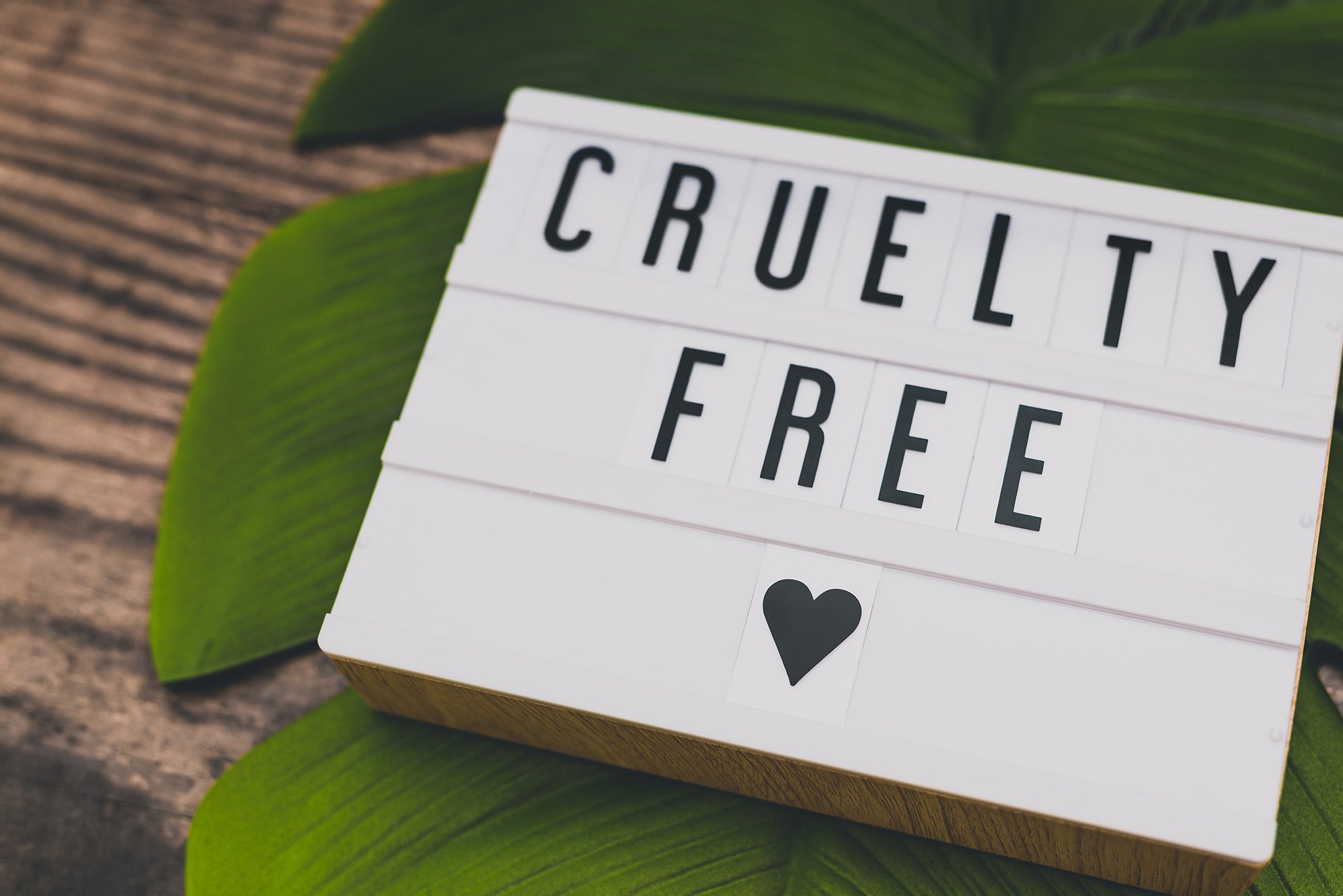 Cruelty Free text on a letter block. On top of green leaves and wooden background.